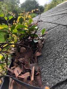 Gutter cleaning near me