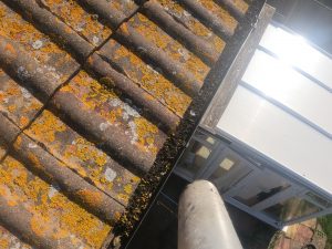 Gutter cleaning near me